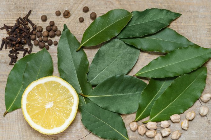 tisana alloro, rimedi naturali, indigestione