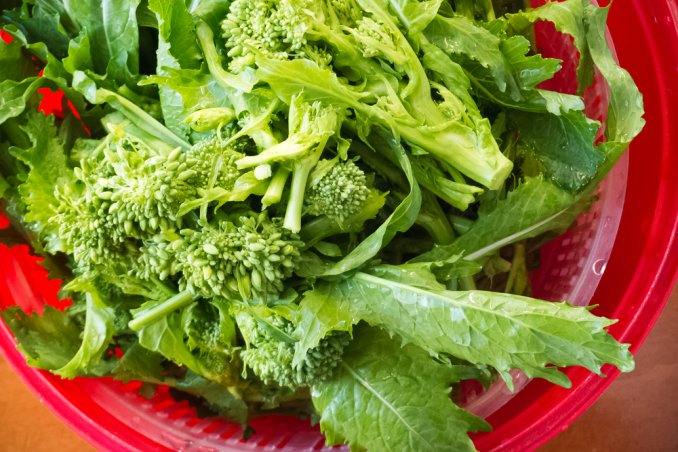 come pulire cime di rapa, ricette cime di rapa, cime di rapa, ricette