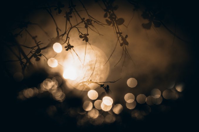 video, zucchero, la tortura della luna