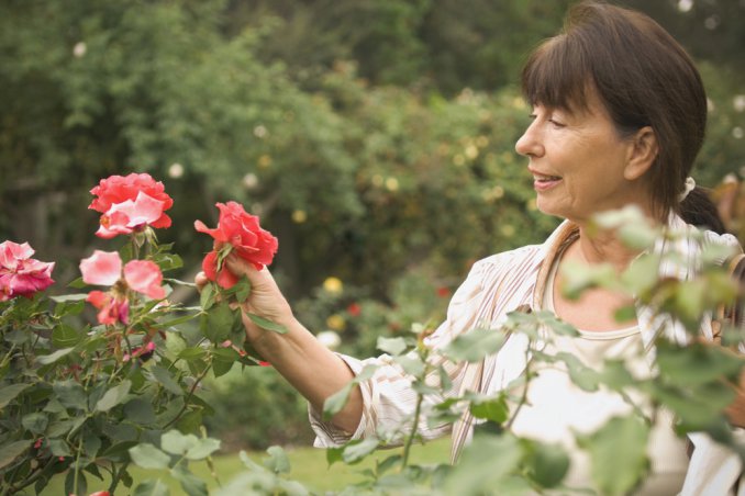 cosa fare tempo libero estate, tempo libero estate