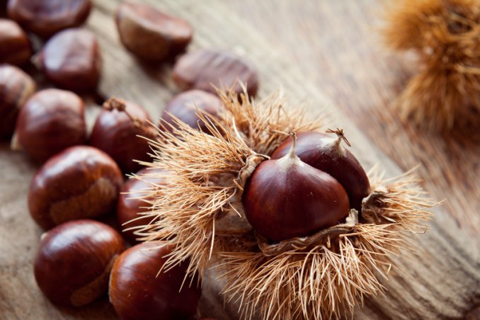 come conservare castagne a lungo, conservare castagne fresche