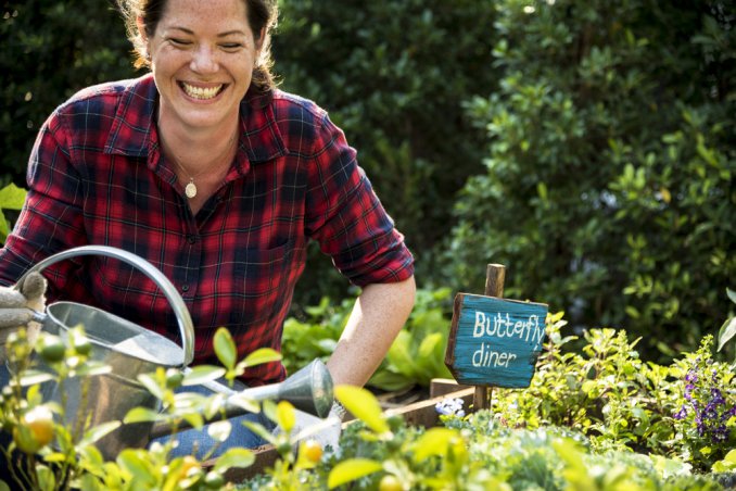 cosa coltivare novembre orto, orto novembre