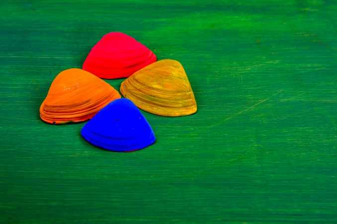 come dipingere conchiglie