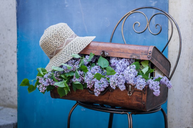 valigia che puzza, cattivo odore valigia 