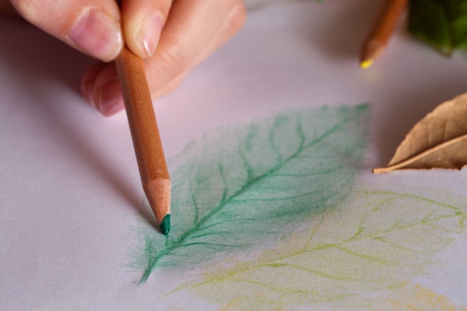 frottage con foglie