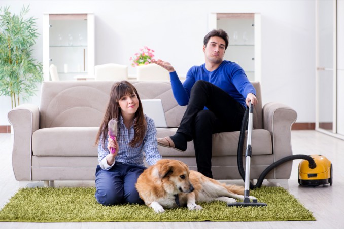 pulci in casa rimedi