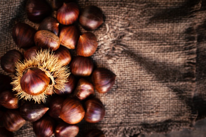 cucinare castagne microonde