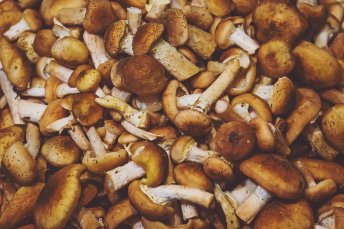 come pulire funghi chiodini