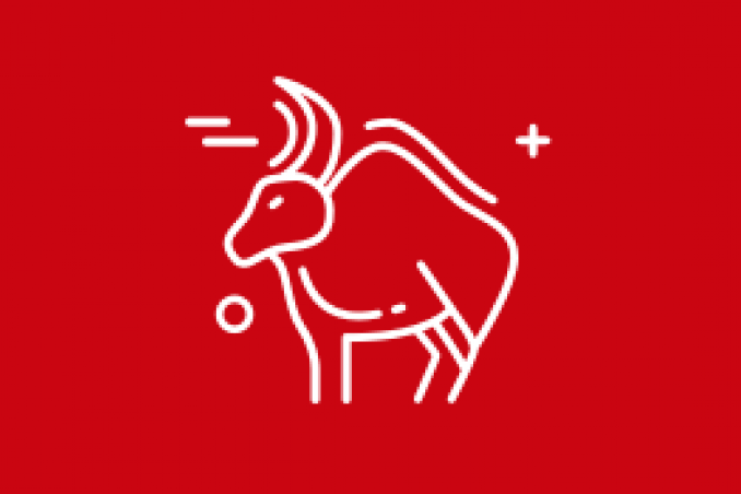 Come sarà il 2019 per i nati sotto il segno del Toro?