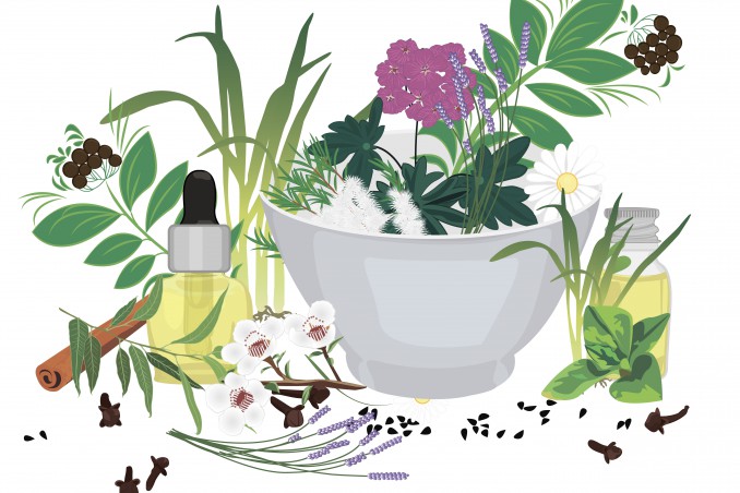 olio essenziale di Ravintsara 