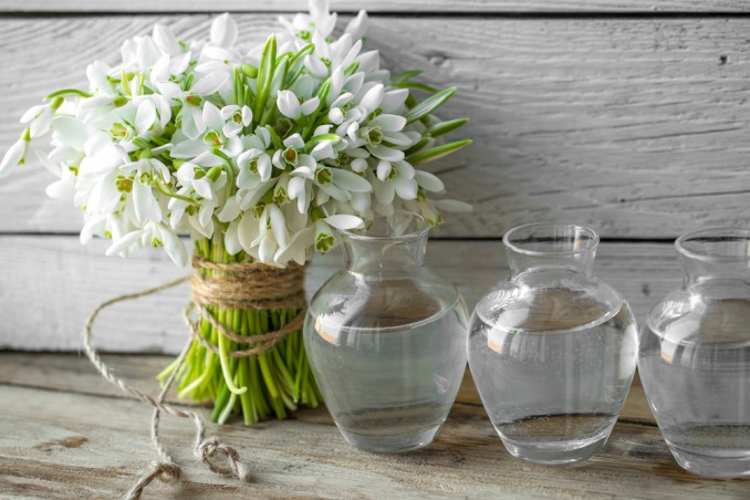 fiori da regalare a san valentino, fiori san valentino