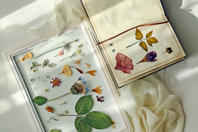 decoupage fiori secchi, decoupage fiori pressati, lavoretti fiori secchi