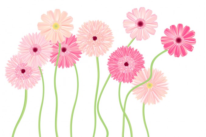 ricamo festa mamma, ricamo disegni gratis 