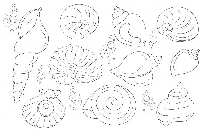 disegni da ricamare punto catenella a tema mare, disegni da ricamare punto catenella, soggetti marini da ricamare