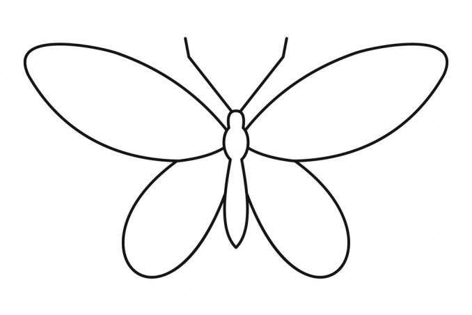 disegnare farfalla bambini