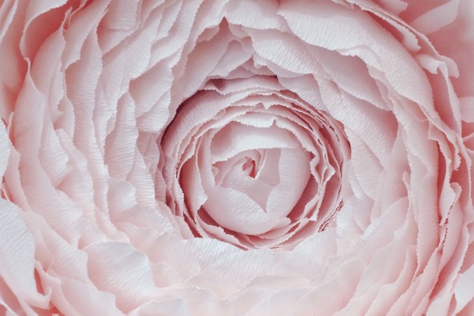 fiori decorazioni matrimonio