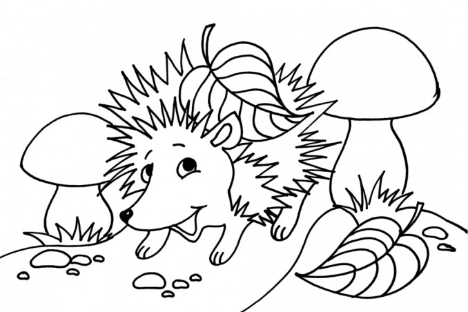 disegni autunno da colorare, disegni autunnali da colorare, disegni autunno