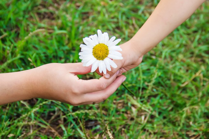 giornata gentilezza frasi, gentilezza frasi, giornata gentilezza