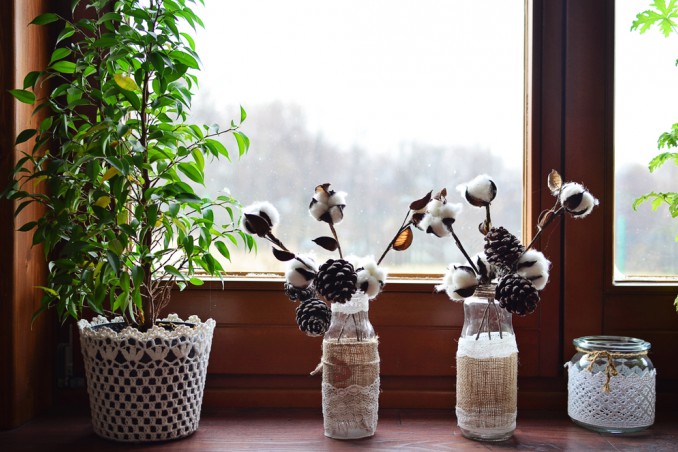 come conservare piante inverno, come proteggere piante inverno, come proteggere piante freddo