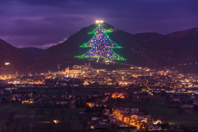 Albero di Gubbio