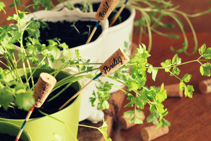 targhette personalizzate segnapiante