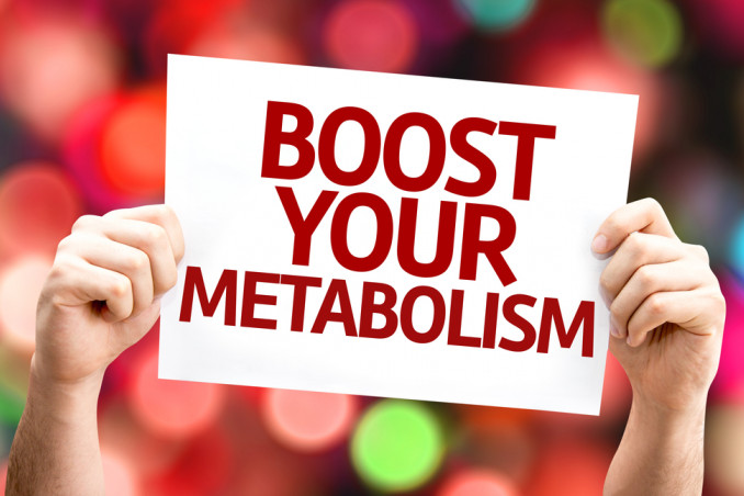 Metabolismo