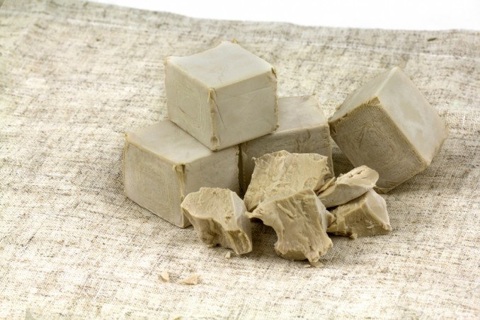 congelare lievito birra