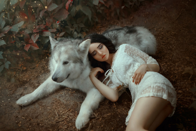 significa, sognare cane morto significato, sogno cane morto 