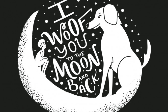 frasi, cani, aforismi