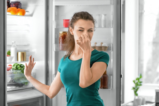 deodorare, frigo, rimedi