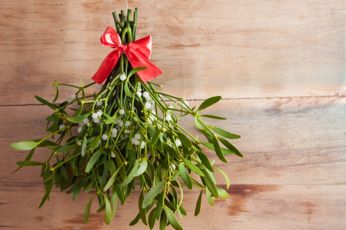 bacio, vischio, significato