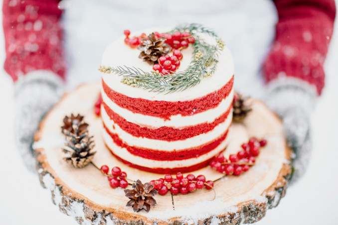 torte invernali decorate, torte inverno decorate