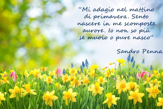 equinozio primavera immagini frasi, equinozio primavera immagini, equinozio primavera frasi