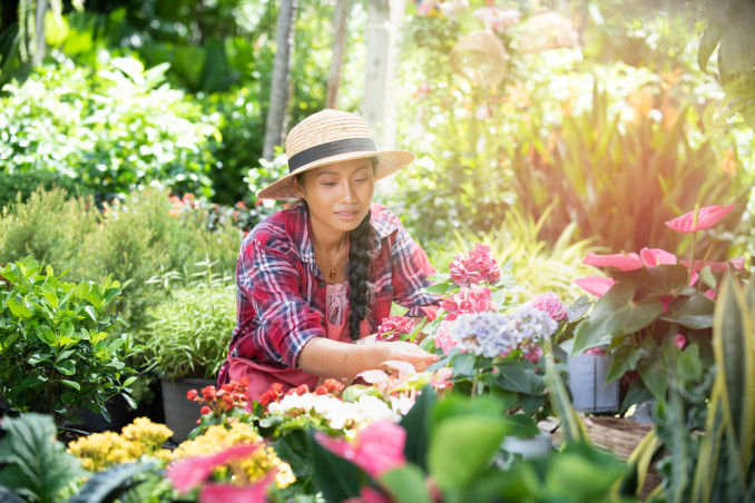giardinaggio mal di schiena, giardinaggio dolore schiena