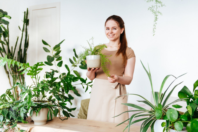 come non fare seccare le piante quando si parte per le vacanze, curare le piante, curare piante quando si è in vacanze