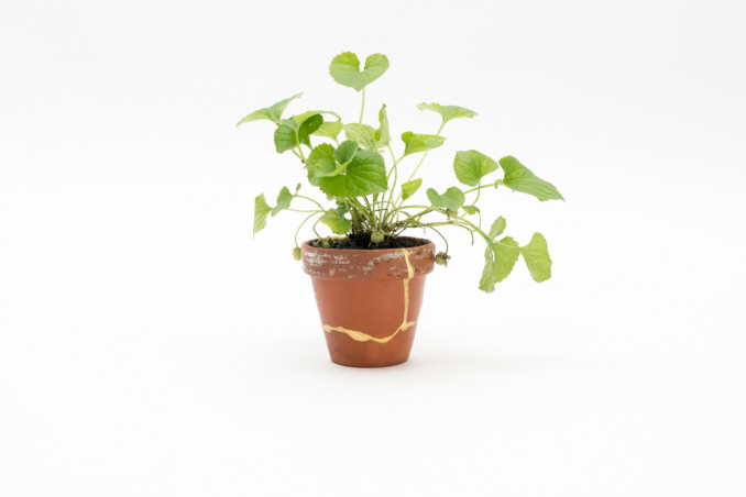 come riparare vaso terracotta, come aggiustare vaso terracotta