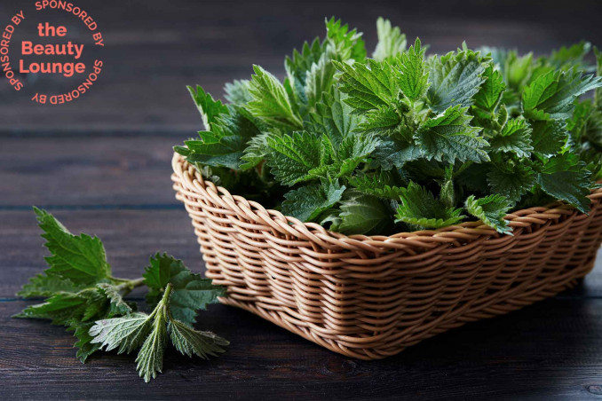 Ortica per curare i capelli