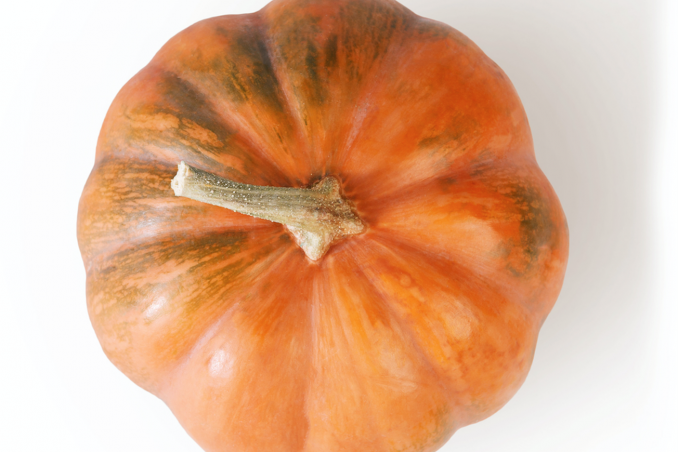 come decorare zucca 
