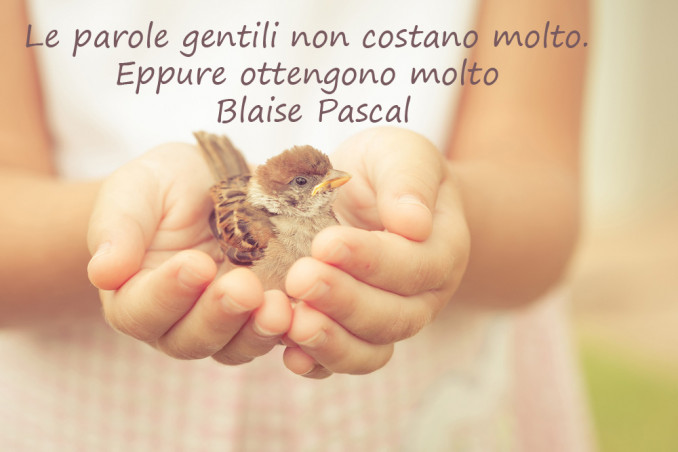 giornata gentilezza immagini frasi, giornata gentilezza immagini, giornata gentilezza immagini