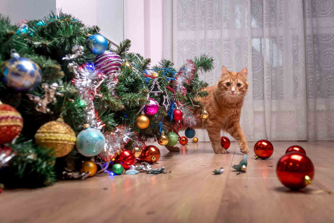 Albero di Natale 2021 gatto