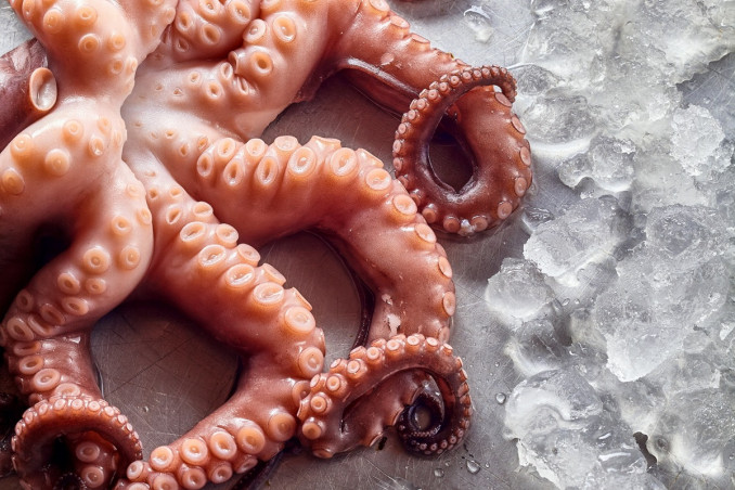 polpo congelato, come cucinarlo, metodi