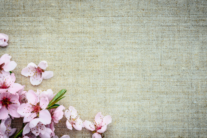 nazim hikmet poesie, nazim hikmet poesia