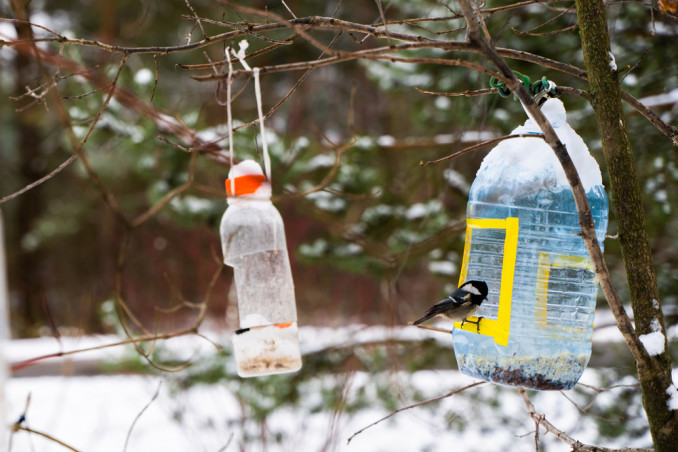mangiatoia uccelli fai da te bottiglia plastica, mangiatoia uccelli fai da te