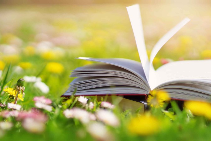 Libri sulla sostenibilità ambientale