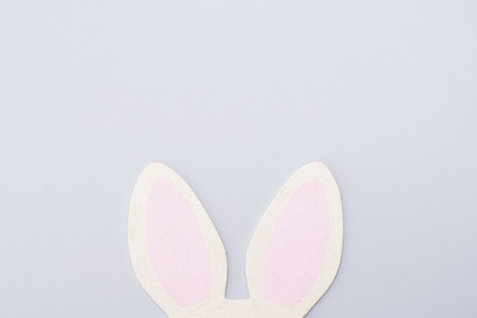 coniglio pasquale scatolina