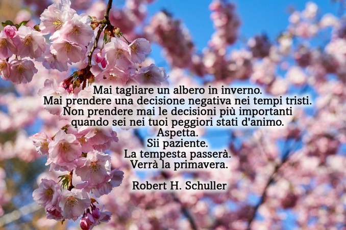 equinozio primavera 2022 immagini frasi, equinozio primavera immagini frasi, equinozio primavera immagini, equinozio primavera frasi 