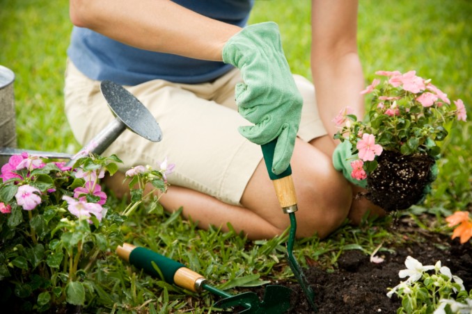 come iniziare a fare giardinaggio, fare giardinaggio 