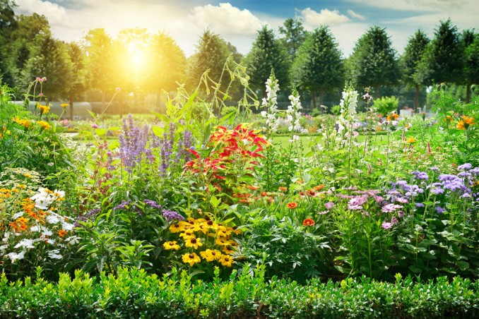 come scegliere fiori giardino, giardino fai da te