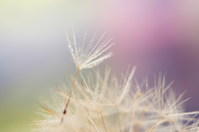 forza interiore frasi, forza interiore