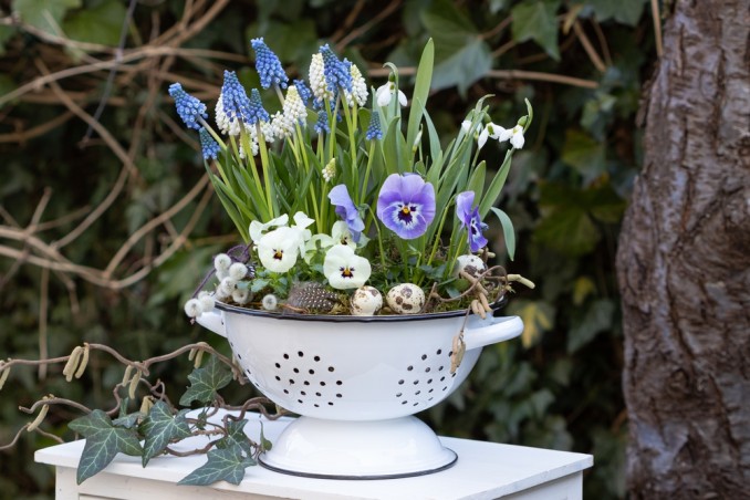 idee giardino riciclo